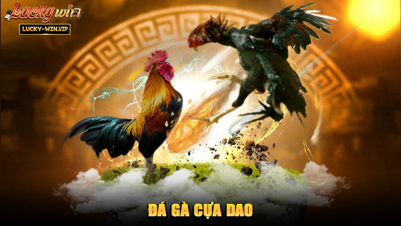 Đá Gà Cựa Dao – Các trận đấu kịch tính và hấp dẫn
