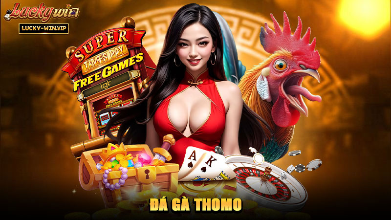 Đá Gà Thomo – Hình thức theo dõi các trận đấu hấp dẫn